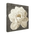 thumbnail image 4 of Trademark Fine Art 'Vivid Floral I White Flower' Canvas Art by Danhui Nai, 4 of 4
