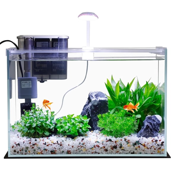 5 Gallon Glass Fish Tank with Filter Light and Lid, Aquarium Starter Kit