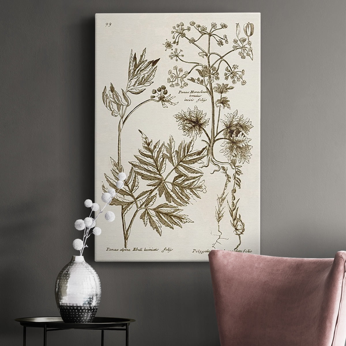 Sepia Botanical Journal III Premium Gallery Wrapped Canvas - Ready to Hang