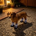 thumbnail image 4 of 4PCS Breathable Dog Shoes Waterproof Non Slide Night Suitable for Small Medium and Large Dogs Boots for Daily Walking, 4 of 6