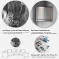 thumbnail image 5 of Designart 'Close Up Scottish Highland Cows Living On Moorland' Farmhouse Circle Metal Wall Art 11x11 - Disc of 11, 5 of 5