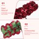 thumbnail image 2 of 144 flores de papel pequeñas, rosas artificiales para proyectos de manualidades., 2 of 8