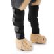 thumbnail image 2 of Tirantes para corvejones traseros de perro Mangas para articulaciones de corvejones traseros caninos con equipo de seguridad Correas reflectantes para, 2 of 5