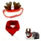 thumbnail image 1 of Bufanda navideña para mascotas, sombrero, gorros para perros y gatos, bufanda, banda para el pelo para mascotas, bufanda, disfraz de Navidad 1590, 1 of 5