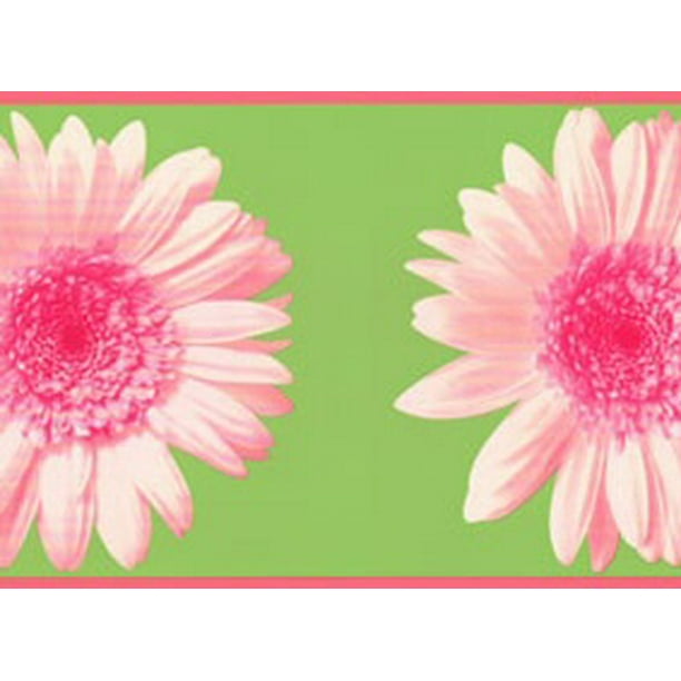 878329 Colorful Daisy Wallpaper Border RU8302b