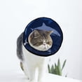 thumbnail image 1 of Shark Soft Cat Dog Recovery Collar Adjustable Cat Cone Wound Healing Protective After Surgery for Pet Cone, 1 of 7