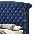 thumbnail image 2 of Benjara Giya Wingback King Bed- Tufted Headboard- Pacific Blue Velvet Upholstery, 2 of 6