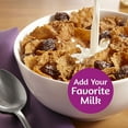 thumbnail image 5 of Kellogg's Raisin Bran Original Breakfast Cereal (Pack of 14), 5 of 9