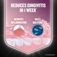thumbnail image 3 of Enjuague bucal Listerine Clinical Solutions Gum Health 500 ml x2, 3 of 6