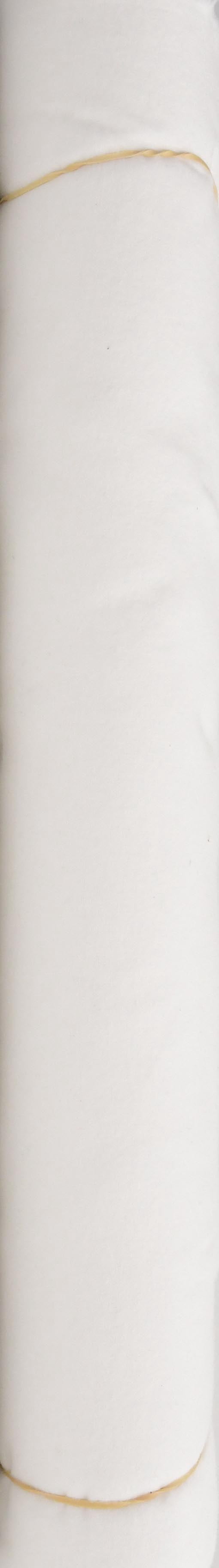 David Textiles Inc. 42" 100% Cotton Flannel Solid Sewing & Craft Fabric By the Yard, White