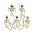 thumbnail image 1 of 5 Piezas de Decoraciones de Esqueleto de Halloween, Esqueletos de Articulaciones Articuladas de Cuerpo Completo de 16 Pulgadas para Halloween, Decoraciones de Casas Encantadas, 1 of 5