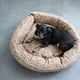 thumbnail image 3 of Cotton Slub Pet Floral Pattern - Cama Multicolor para Perro, Multicolor, 3 of 5