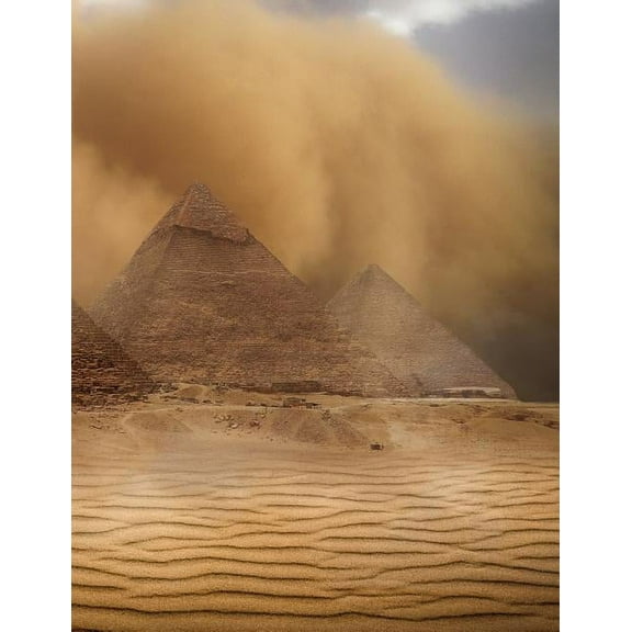 My Own Notebook (Paperback)