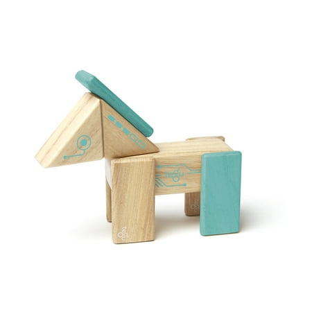Tegu Robo Magnetic Wooden Block Set (Best Wooden Block Set)