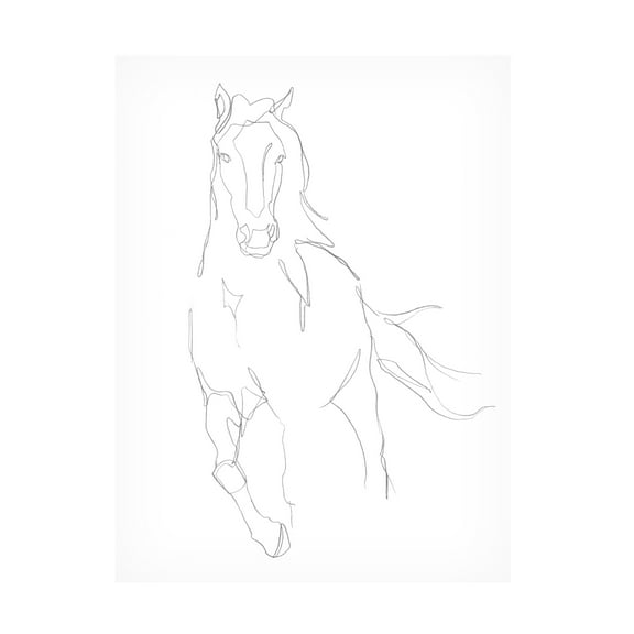 Ethan Harper 'Horse Contour II' Canvas Art