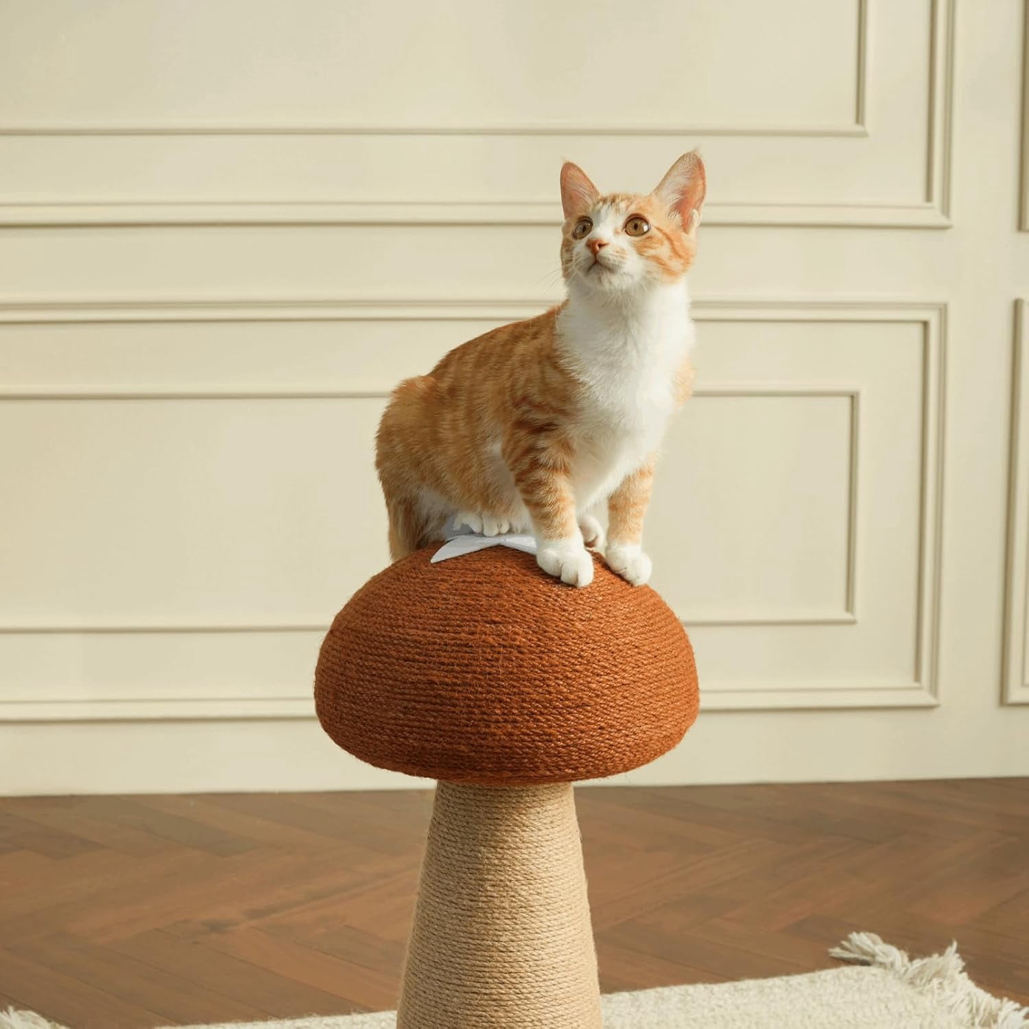 Amgo Brown Adorable Mushroom Cat Scratching Post, Cat Toys for Indoor Cats with Durable Sisal Rope for Cat Scratcher, Cozy Plush Base