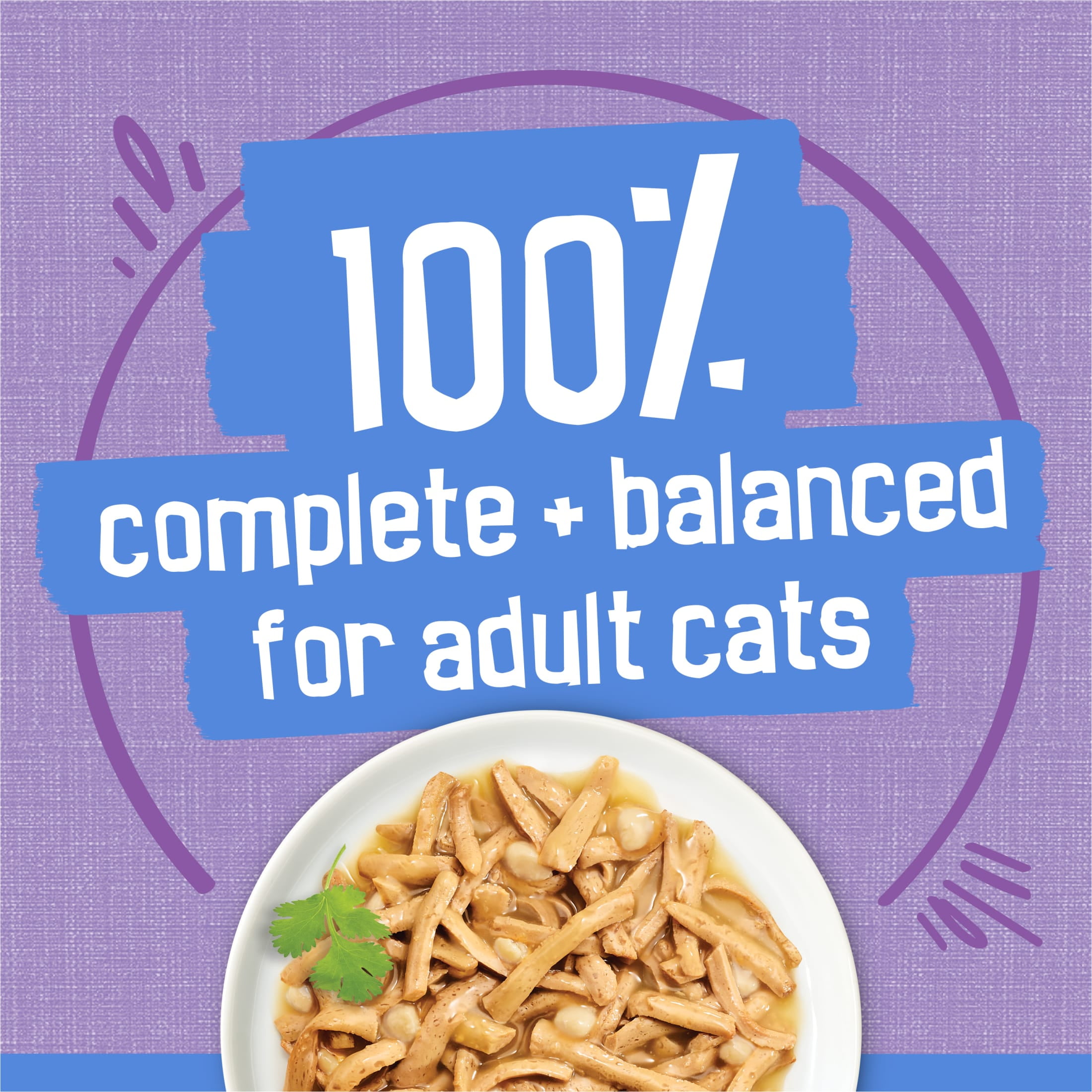 Purina Friskies Shreds, Turkey and Cheese Dinner in Gravy, Wet Cat Food, 5.5 oz Can, 24 Pack