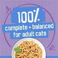 thumbnail image 5 of Purina Friskies Shreds, Turkey and Cheese Dinner in Gravy, Wet Cat Food, 5.5 oz Can, 5 of 9