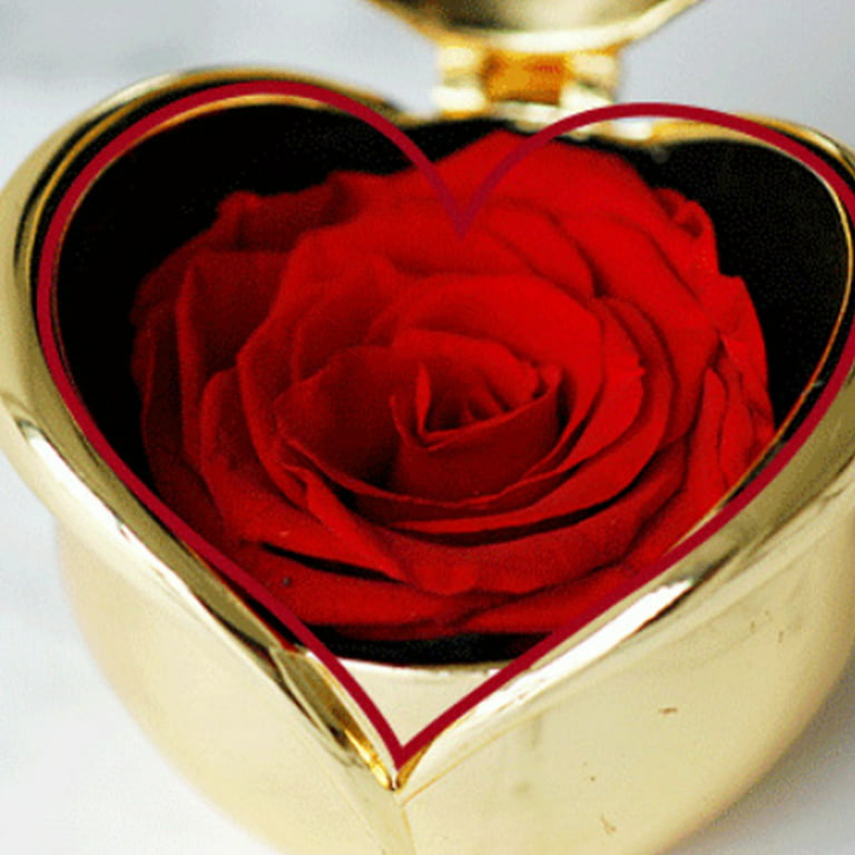 Best Gifts for Valentine's Day, Preserved Flower Rose, Upscale