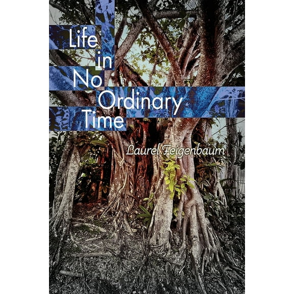 Life in No Ordinary Time, (Paperback)