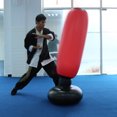 thumbnail image 3 of Saco De Boxeo Saco de boxeo inflable de 160cm para adultos y niños, saco de arena para boxeo, objetivo de entrenamiento Likrtyny  Para estrenar, 3 of 9