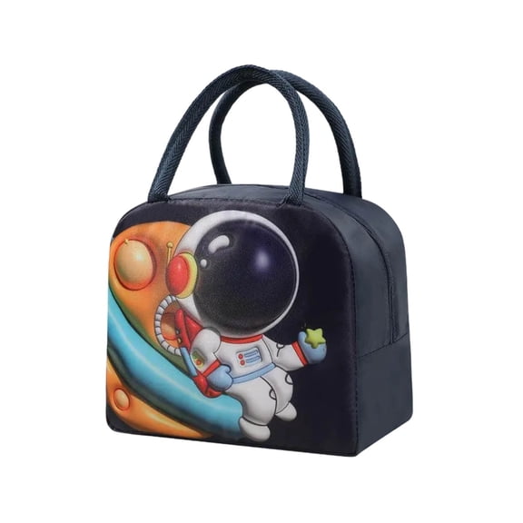 Zmeidao Lunch Bag, Reusable Insulated Lunch Tote Bags for Men and Women, Lunchbox Containers Snack Bento Cooler Bag for Work, Picnic, Camping