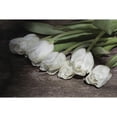 thumbnail image 3 of Deiter, Lori 24x17 Black Modern Framed Museum Art Print Titled - Gathered Tulips, 3 of 5