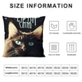 thumbnail image 5 of Funny Cat Gifts, Black Cat Mom Gifts, Funny Quote It‚Äôs Not Cat Hair It‚Äôs Kitty Glitter Throw Pillow Cover, Cat Gifts for , Cat Gifts for Women,, 5 of 5