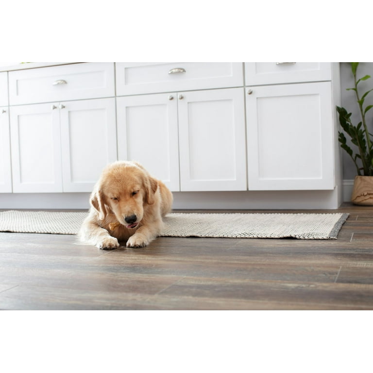 ALL INCLUSIVE* Puppy whelping care kit! – Big Bone Bulldogs