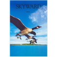 thumbnail image 1 of Skyward (IMAX) Movie Poster (11 x 17), 1 of 1