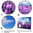 thumbnail image 3 of Designart "Flowers peaceful Lavender II" Floral Floater Framed Canvas Print, 3 of 7