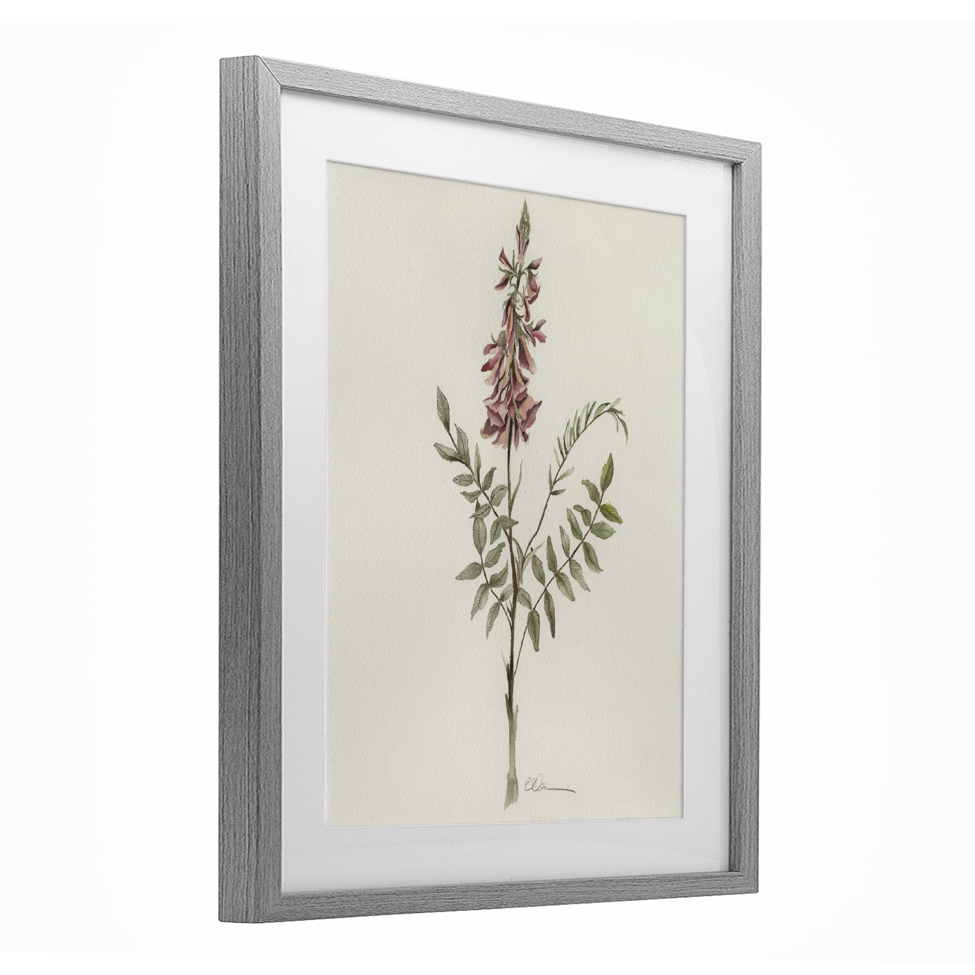 Stupell Industries Nature's Delicate Herb Sprig Gray Framed Print Under Glass, design by Cady Driver