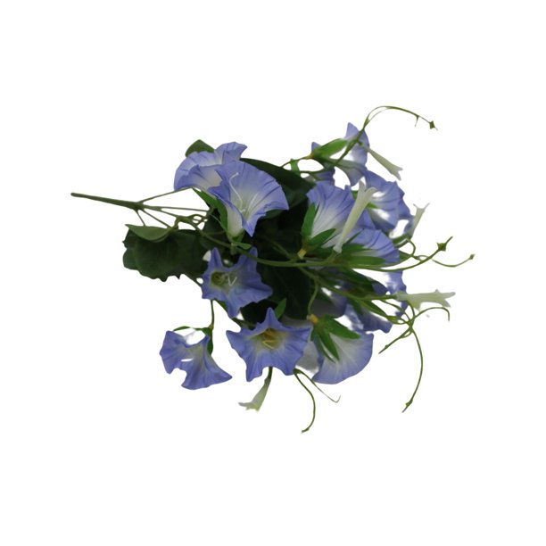 Bewildely Flor falsa Plantas de plástico Colgante de pared Artesanía Decoraciones al aire libre Morning Glory Flores artificiales Tamaño compacto Flores artificiales Azul claro Bewildely HA070581-02