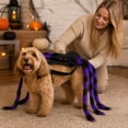 thumbnail image 6 of Realistic Halloween Spider Dog Costume Adjustable Self-Adhesive Straps, Funny Dog Halloween Costumes, Halloween Pet Parades Photo Sessions, 6 of 6