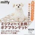 thumbnail image 1 of Miffy Blanket, 1 of 9