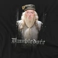 thumbnail image 2 of Harry Potter T-Shirt Dumble Doors Unisex Graphic Tee For Men & Women, 2 of 7