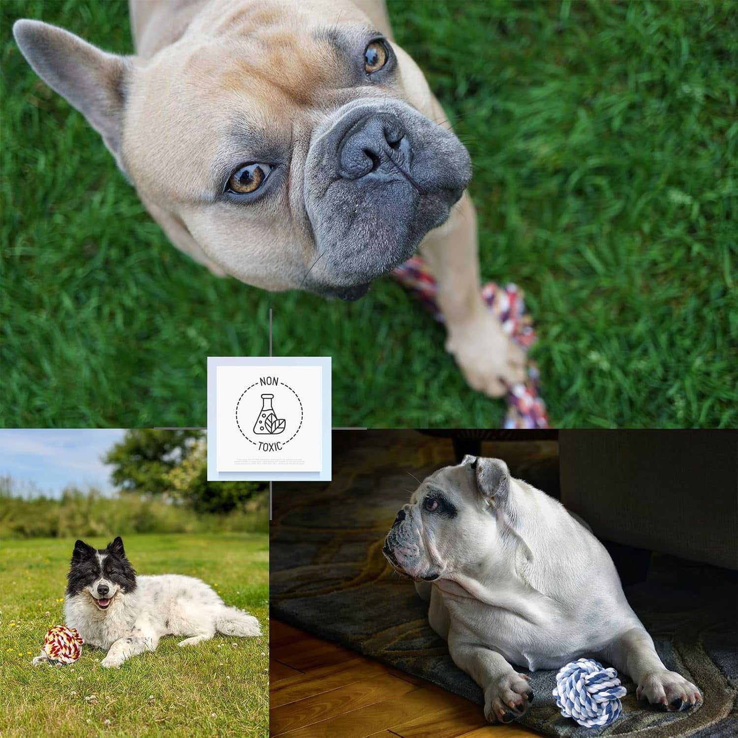 Dog Toy Balls for Small Dogs, 12 Pack Interactive Dog Toys for Small Breed 0-15 lbs, Includes Rubber, Squeak & Rope Balls