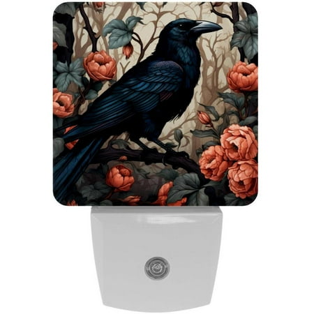 

Crow LED Square Night Lights - Energy Efficient & Elegant Decorative Lighting for Your Home - Set of 2 Understated Square LED Nightlights