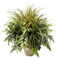thumbnail image 1 of Mixed Greens & Grass with Ceramic Planter, 1 of 1