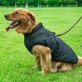 thumbnail image 3 of Veste pour Chien avec Harnais Imperméable à l'Eau d'Hiver pour Chien de Compagnie, 3 of 6