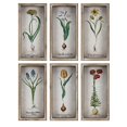 thumbnail image 1 of IMAX A0619244 Bloom Wall Decor - Set of 6, 1 of 1