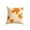 D#201, variant on Autumn Maple Leaves & Pumpkins Pillow Cover with "Be Thankful" Phrase – Cozy Fall Decor for Sofa, Porch, Patio – 17.7x17.7 Inch Square Cushion Case for Farmhouse, Cottage, Outdoor Seating