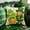 D, variant on Fasiaou 18x18 Inch St. Patrick's Day Printed Pillowcase for Themed Home Decor and Festive Sofa Accent,A