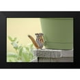 thumbnail image 2 of Schell, Jennie Marie 24x17 Black Modern Framed Museum Art Print Titled - Chipmunk and Flower Pot, 2 of 5