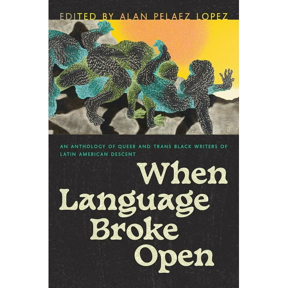 Camino del Sol When Language Broke Open: An Anthology of Queer and Trans Black Writers of Latin American Descent, (Paperback)