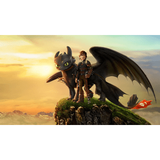 How to Train Your Dragon Toothless Sport Bottle – American Dream Shops