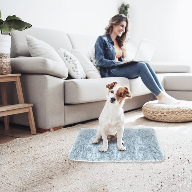 Xihbxyly Cómoda Colchoneta para Perros, Cama Duradera, Fácil de Transportar, Suave y Acogedora, Ideal para El Hogar, La Oficina o Viajes, Elegantes Colores Neutros, Tamaño 50 X 35 Cm, Juego de 1 Piez