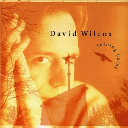 Turning Point (CD) by David Wilcox