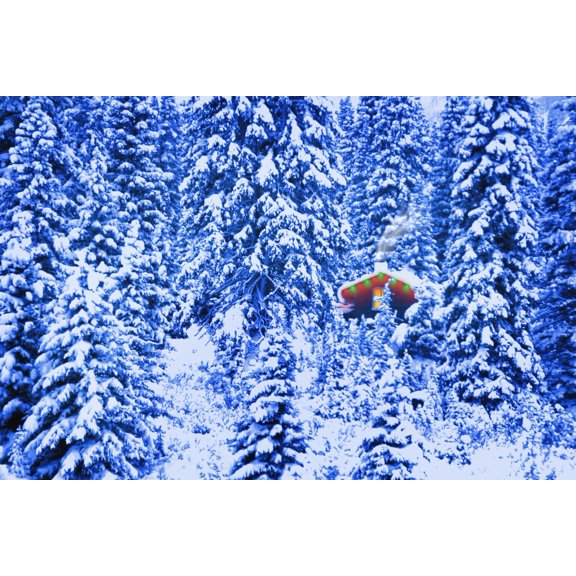 Small Lit Cabin In The Middle Of A Winter Forest Canvas Art - Corey Hochachka  Design Pics (17 x 11)