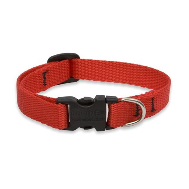 Lupine Collars and Leads 22534 Red 1/2" x 812" Collar
